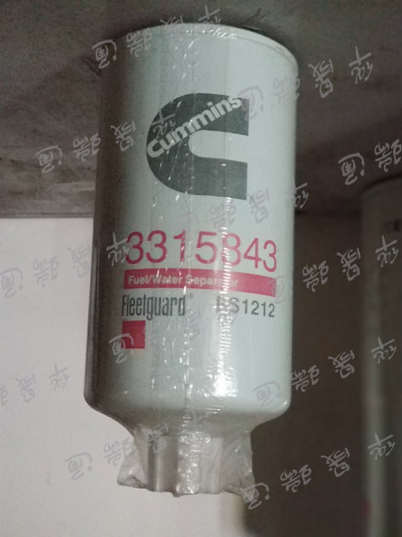 FS3315843
